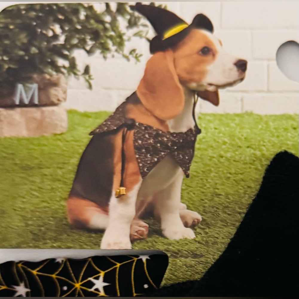 Dog Halloween Costume with Hat size medium